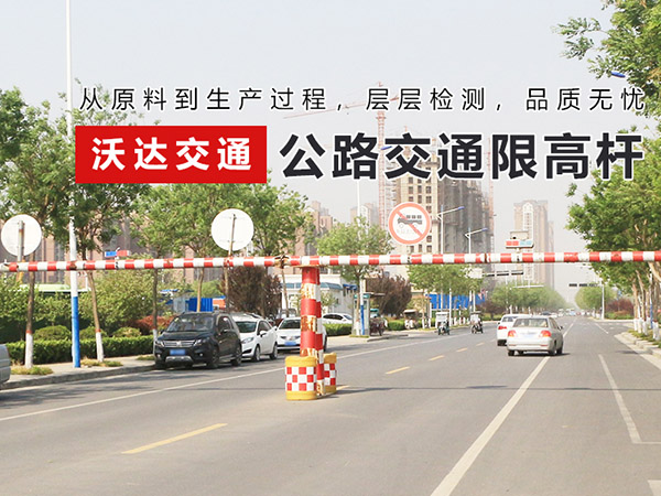 捷报比分